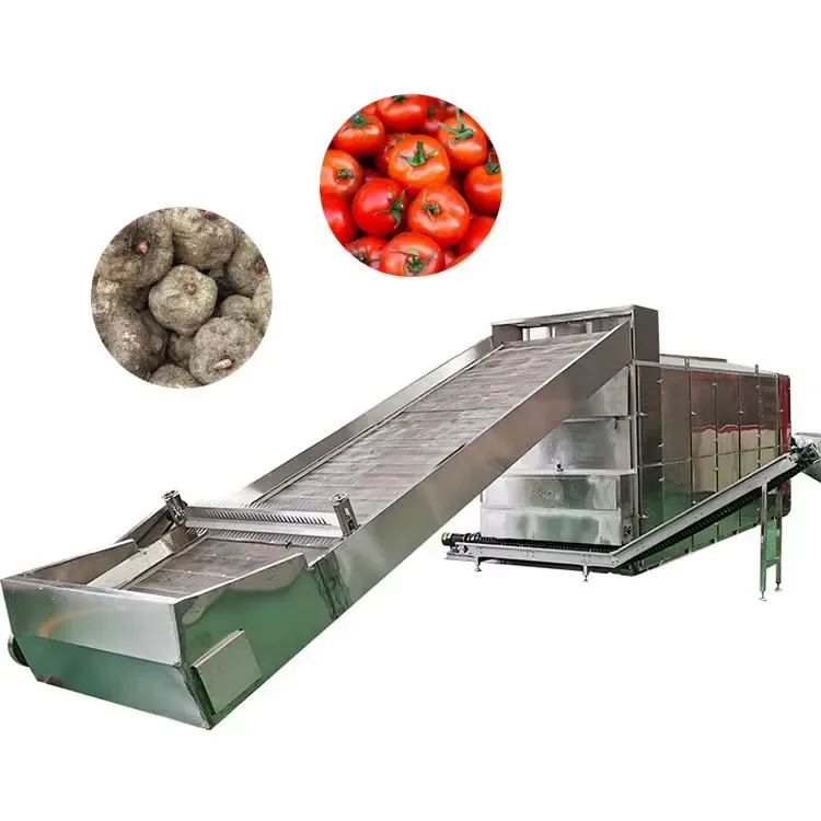 Vegetable Dehydration Dryer